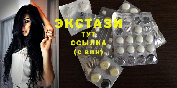 гашик Алексин