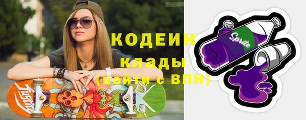 гашик Алексин