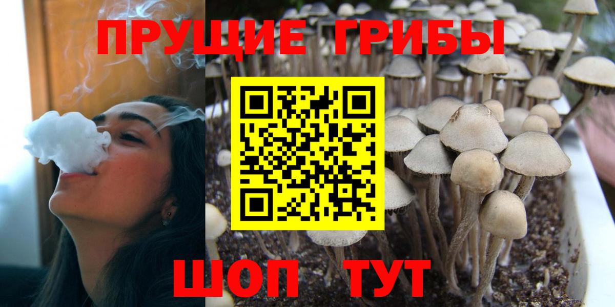 Галлюциногенные грибы прущие грибы  Вход с VPN  Псилоцибиновые грибы Magic Shrooms  Астрахань 